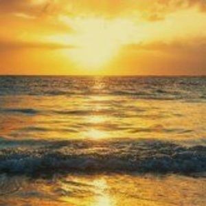 Meet your Posher, Traci